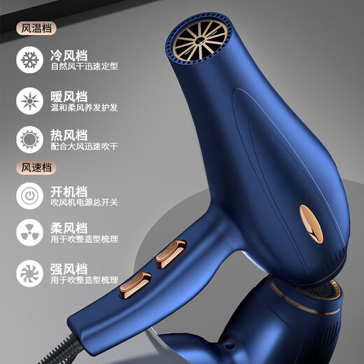 MERIOEC hair dryer for home use, silent, high-power, non-damaging, high-speed hair dryer, hair salon hair care, constant temperature blue light negative ion hair dryer, home hair dryer 3800W starry sky gray, powerful and high-end hair salon home customization