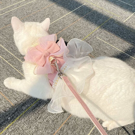 Cat Walking Rope Cat Chest Strap Pull Princess Skirt Dual-purpose Pet Clothes Outdoor Cat Rope Blue (with rope) M-(suitable for bust 28-36cm)