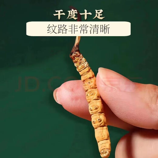 Authentische Cordyceps Geschenkbox Echte Trockenwaren Mid-Auto Festival Geschenk High-End-Geschenke für Älteste und Eltern Ernährungsprodukte Brown Handpack große Streifen von Cordyceps 50 Stück