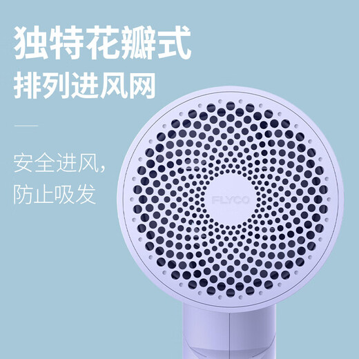FLYCO high-speed hair dryer household negative ion constant temperature hair care high wind speed drying bass portable dormitory student hair dryer negative ion hair care FH6276 1800W high power