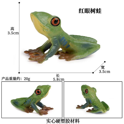 Oenux Simulation cognitive grenouille jouet solide enfant de poupée pour enfants Small Ornaments Bullfrog Frog Frog Bullfrog Frog Toad 1429 Africain Reed Frog