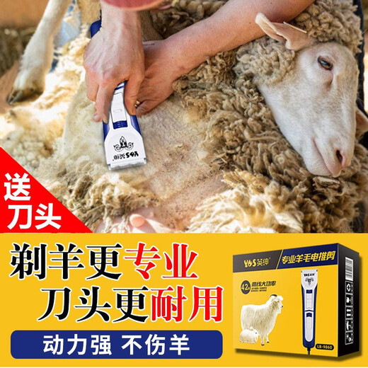 Yingshen wool electric clipper high-power pet electric clipper for shaving wool sheep cashmere goat electric shearing tool universal for all sheep (2 heads in total)