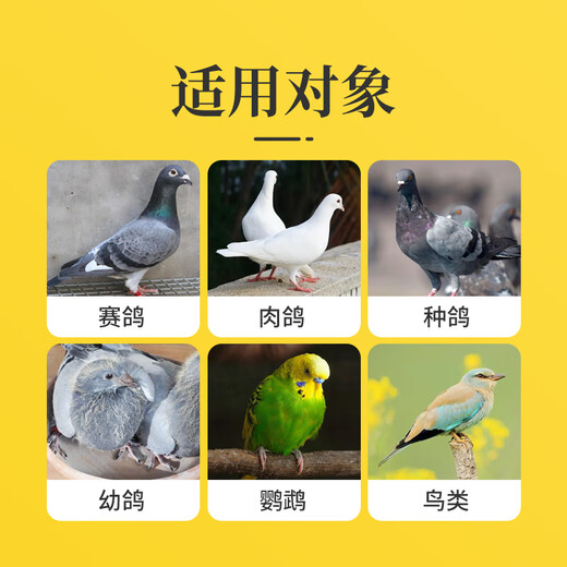 Probiotic live bacteria powder for birds, parrot, cockatiel, diarrhea and diarrhea, bird-specific electrolyte multi-dimensional glucose powder, bird feed and additives, Baicao pigeon bath salt 800g