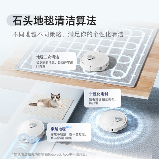石头（roborock）国家补贴 石头扫地机器人扫拖一体 P10S Pro 扫拖洗烘一体机 自动集尘热水洗拖布烘干补水擦地拖地 P10SPRO超薄全嵌入式上下水版