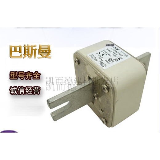 XMSJ巴斯曼170M6167  170M6169低压熔断器 170M6167