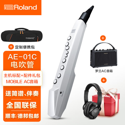 罗兰（Roland）ae01电吹管电萨克斯自带音源民族音色ae05c初学入门电子管乐 AE01C标配+AC音箱+礼包