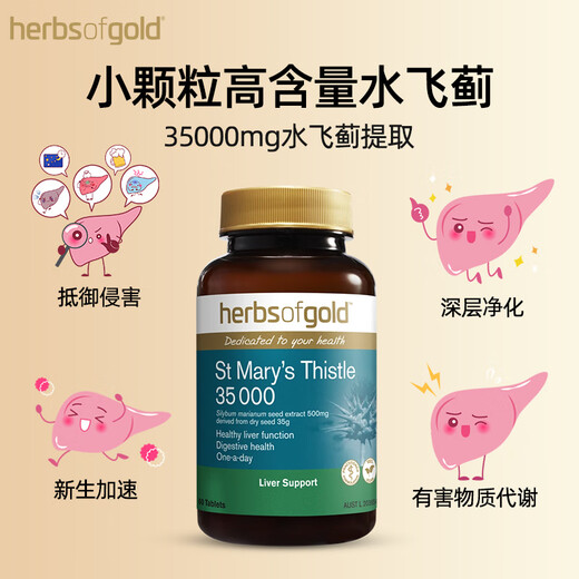 和丽康（Herbs of Gold）水飞蓟护肝片脂肪肝奶蓟草hog养肝保肝片熬夜解喝酒澳洲进口 护肝片2瓶装（95%人群选择）