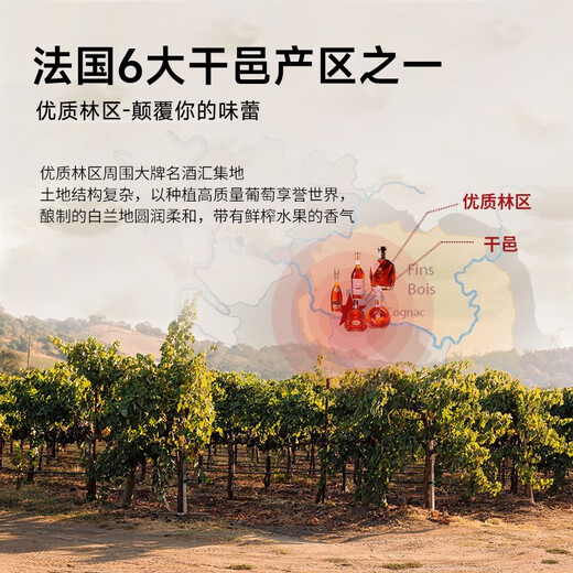 派斯顿（PASSTON）法国进口洋酒XO白兰地40°烈酒 钻石 原酒进口  微醺送礼聚餐调酒 700mL 1瓶