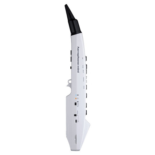 
Roland (Roland) hair tube AE01C comes with sound source speaker recorder fingering method electronic wind instrument for beginners AE01C+carrying bag+charging set+headphone gift bag