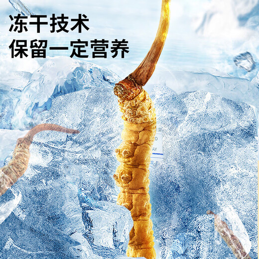 雷允上冬虫夏草3.2根/g 50g约160根虫草礼盒送领导送长辈滋补品