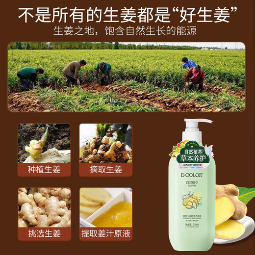 Dicai Ginger Shampoo Herbal Old Ginger Juice Refreshing Fluffy Anti-dandruff Moisturizing Soft Men and Women Shampoo 750ml