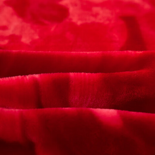 Red Dragonfly Wedding Rasher Blanket Свадебное одеяло Большое красное красное двойное утолщенное покрытие одеяло теплое флисовое одеяло CC-655 Rasher Blanket-Big Double счастье 180*220 см [около 6JIN [JIN равно 0,5 кг]]]