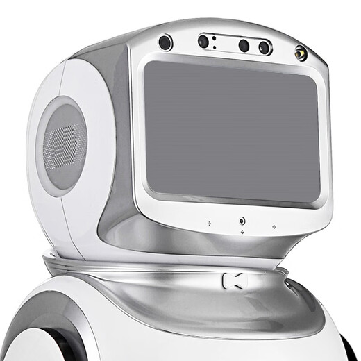 Starry Sky Dabai 2025 Großer intelligenter Roboter trifft das Recht, Gäste willkommen zu heißen und erklärt Dialog Chat -Sprache Fernbedienung Überwachung AI Humanoid Kindergartenorganisation Ausstellung Hall Custom Temperatur Messung Krankenhaus Ausbildung Rose Rot rot