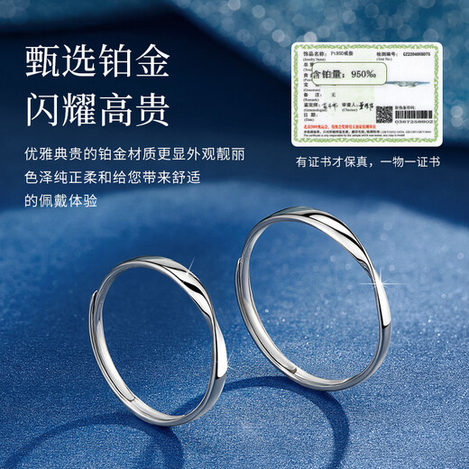 MZMZ Platinum Ring Möbius Ring Couple PT950 Platinum Pair Ring Birthday Anniversary Gift for Girlfriend Platinum Couple Model + Möbius Ring