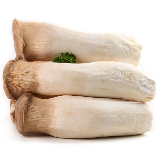 Jingguo Yiren Pleurotus eryngii is commonly used in soups and barbecues, fresh vegetables, edible mushrooms, Pleurotus eryngii, and drumstick mushrooms, now harvested and packed in 3 Jin [Jin equals 0.5 kg]