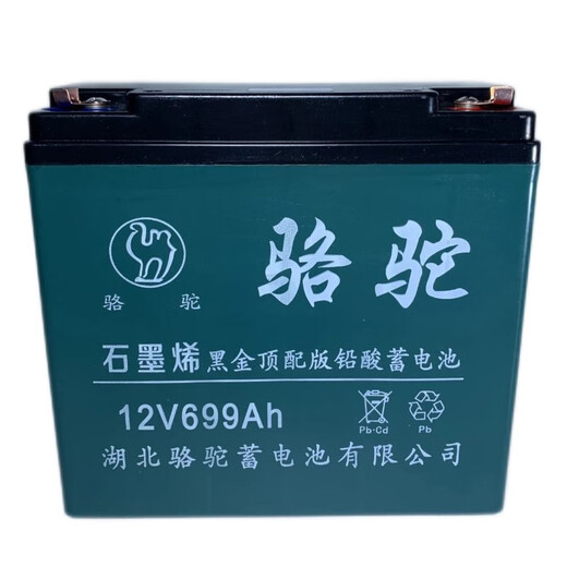 Village de Shantoulin 12V20A 60A Batterie de plomb à grande capacité Alimentation Alimentation Alimentation extérieure Audio 12V Batterie de camel Nouvelle batterie 12V699A + Chargeur intelligent