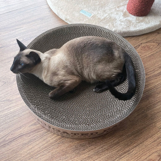 Tiantian Cat Large Disk Corrugated Paper Bowl-Shaped Cat Scratching Board Cat Nest Cat Claw Wear-Resistant Cat Toy Cat Supplies