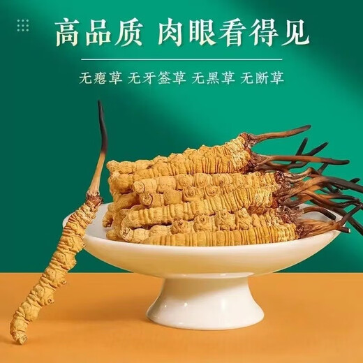 鹿章堂正宗冬虫夏草精品虫草断草正宗大断虫草干货买10条送1条散装正宗 西藏那曲3条1克正宗冬虫夏草（1条装）