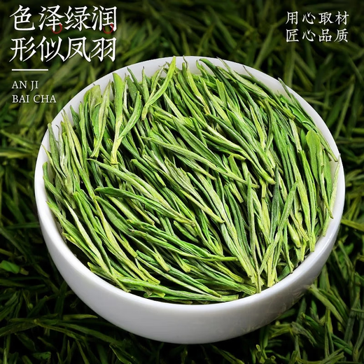 Chen Yifan rare white tea tea green tea Anji Baiye No. 1 tea tree fresh leaves and buds rare white tea 2 cans total 100g Chen Yifan rare white tea tea green tea Anji Baiye No. 1 tea tree fresh leaves and buds rare white tea 2 cans total 100g