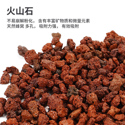 Devodo volcanic rock 2.5KG succulent soil granular paving stone mixed with loose soil and breathable soil to improve soil gardening soilless cultivation matrix