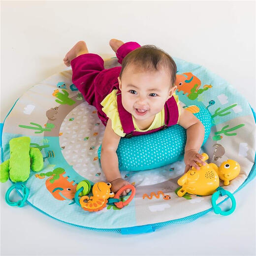 KIDS2【JD物流 日本直邮】婴儿健身架器宝宝游戏毯爬行垫哄娃满月礼 蛇 11979