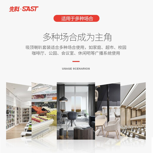 先科（SAST） 壁挂蓝牙功放重低音音响套装大功率影音箱组合家用店铺室内超市餐厅挂壁式奶茶店背景音乐 100W功放+4寸重低音壁挂*2
