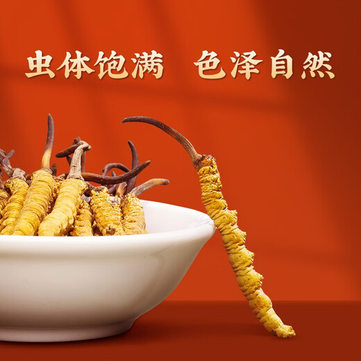 
San Dikang Tsang Cordyceps sinensis New dried Cordyceps nourishing gifts gifts gifts for elders Nutritional products 4 sticks/g 10 grams 40 sticks gift boxes