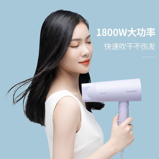 FLYCO high-speed hair dryer household negative ion constant temperature hair care high wind speed drying bass portable dormitory student hair dryer negative ion hair care FH6276 1800W high power