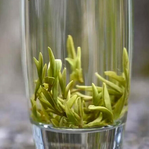 Shanlishan Forty Years Base Huangshan Maofeng Green Tea Bulk Mingqian Sparrow Tongue Maojian Orchid Floral Fragrance Alpine Tea Mingqian Second Grade One Jin Jin is equal to 0.5 kg (one bud and two leaves are fresh and sweet)