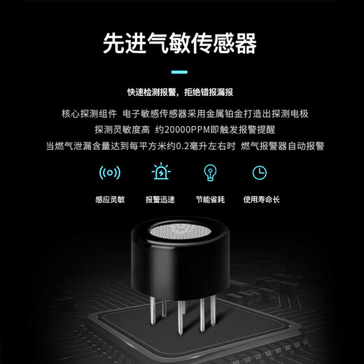 立可安 立可安科技蜂窝煤气报警器一氧化碳泄露检测仪co报警器北方取暖煤炉煤炭燃烧 681普通一氧化碳报警器