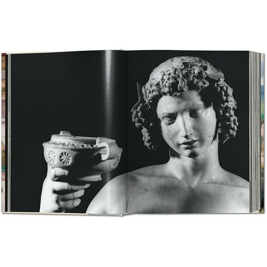 Michelangelo. The Complete Works. Paintings Sculptures Architecture, Michelangelo's complete collection of paintings, sculptures, and architectural works