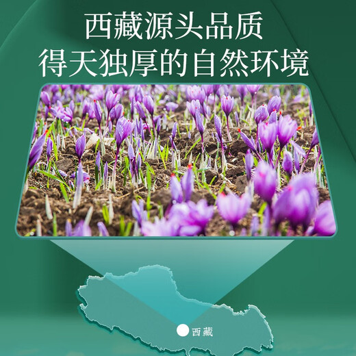 岷农人西藏特级藏红花礼盒精选西红花女性滋补品七夕节礼物送礼长辈父母 【凤尾款】藏红花礼盒10克