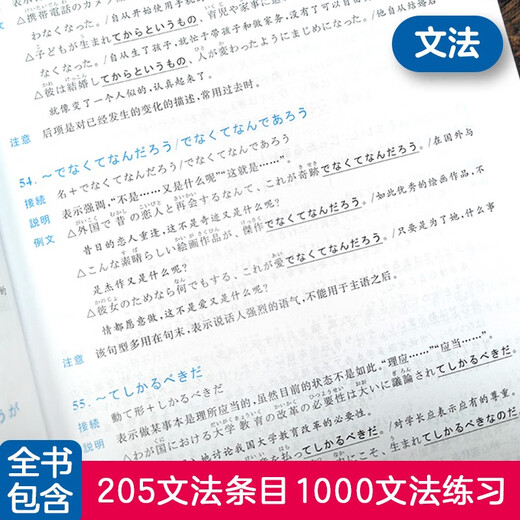 日语红蓝宝书系列 蓝宝书 新日本语能力考试N1文法 语法（详解+练习）