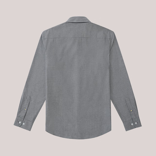 HAZZYS Men's Autumn Cotton Shirt Business Casual Commuting Long Sleeve Shirt Men ASCZK1BCF10 Black BK L (175/96A 48)