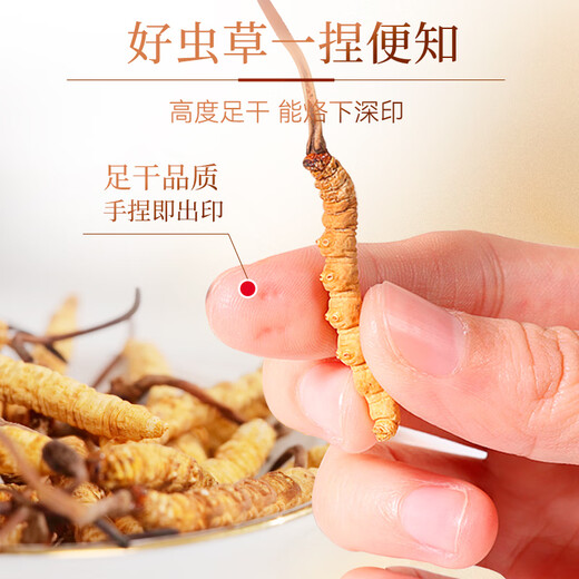余仁生 冬虫夏草 干虫草约3-4根/克35#2g 约7根 洁净饱满 礼品节日送礼