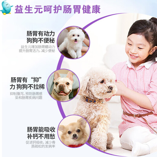 Teddy Golden Retriever Dog Food 5 Jin Jin equals 0.5 kg Adult Puppy Natural Food General Dog Food One Piece McCabeef Flavor 5 Jin Jin equals 0.5 kg