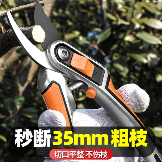 Bobenjia garden fruit tree pruning scissors, special scissors for cutting branches, pruning scissors for pruning flowers, gardening scissors, branch scissors. Silver cast aluminum handle