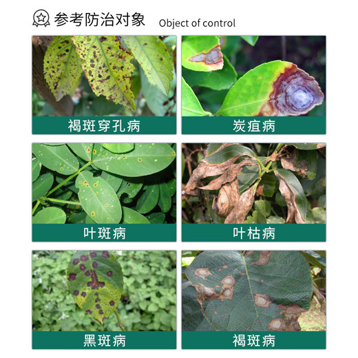 Guoguang Yingna 50% polymanganese zinc flower and fruit tree plant leaf black spot coal stain leaf spot pesticide fungicide 500g