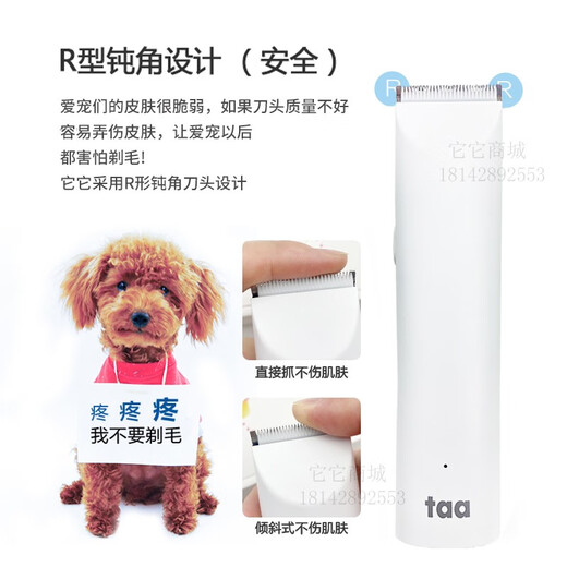 TAA Taiwan It It professional electric clipper pet M1 dog shaver electric clipper cat Teddy razor electric clipper M1 white body + 1 cutter head 6 hours of battery life