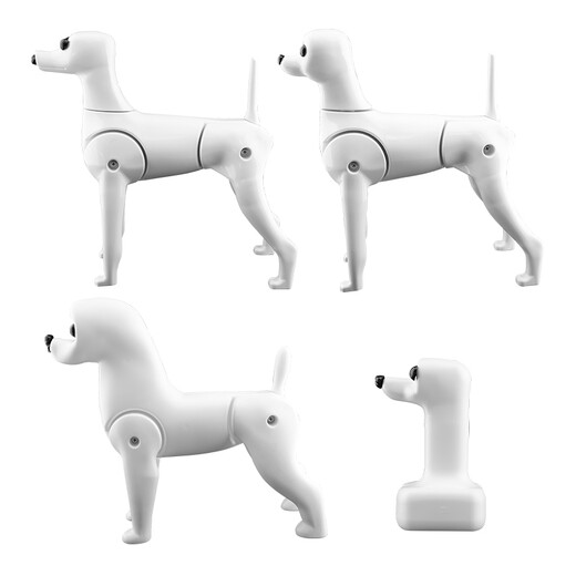 Black Bird Pet Professional Beauty Simulation Fake Hair Model Teddy Ram VIP Head Model Fake Dog Model Skeleton Practice Special Teddy Head Fake Hair (model not included)