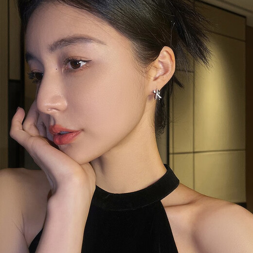 Idel Purple French Earrings and Earrings 2025 New Niche Design High-End Exquisite Earrings Girl Birthday Gift Purple Zirconium Earrings Silver E2795