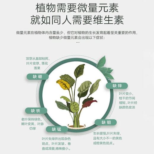 雅苒挪威雅苒复合肥有机肥果树花卉盆栽苗木蔬菜植物通用全面营养肥料 3斤