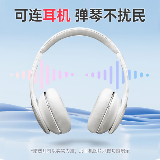 贝多辰（Beethostar）可折叠电钢琴88键力度键电子钢琴便携成人儿童幼师演奏演出专业琴 N3001+88键力度蓝牙版 官方标配+礼包+X琴架+琴凳+琴包