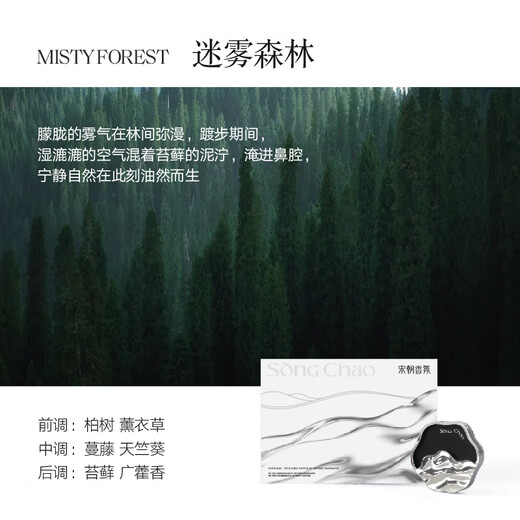 Song Dynasty Tinghai Mist Forest Car Aromatherapy Gift Box Car Air Outlet Car Perfume Fragrance Air Purification Gift Spring Rain Tea Gift Box, 2 Fragrance Tablets