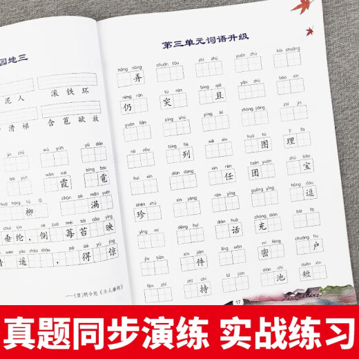 [Kyokuang Sufa mañana] Entrenamiento especial para el segundo grado de la escuela primaria, primer volumen + segundo volumen (los 2 volúmenes) Lea el pinyin y escriba nuevas palabras y pronunciación 14066 ** 0