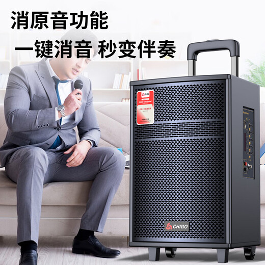 CHIGO square dance Bluetooth speaker subwoofer outdoor large volume outdoor karaoke sound card audio playing and singing 15-inch flagship version + wireless microphone X1