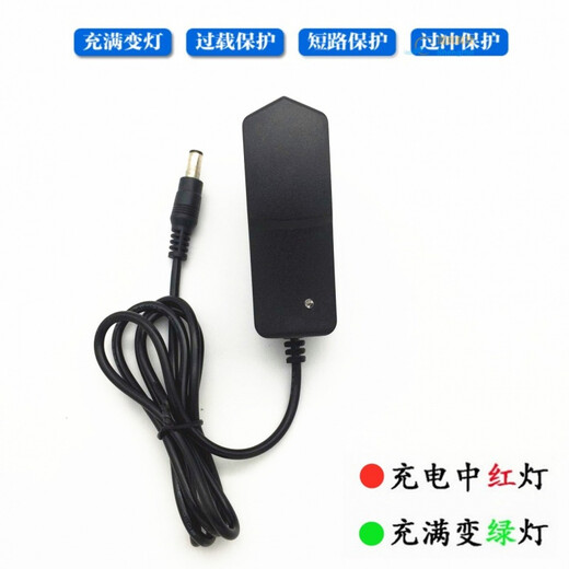 Electric fascia gun charger 24V1A universal 26V25.2V massage gun 12.6V16.8V8.4V charging cable 16.8V1A charger large and small holes universal one meter 0.4A0.6