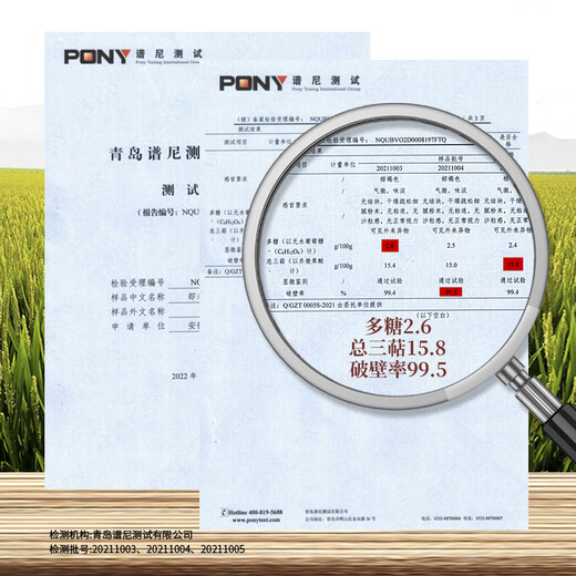 却老斋牌 破壁灵芝孢子粉1g100袋 双指标高三萜有机认证保健品补品 孢子粉100g*3盒【150天量】