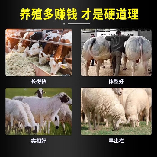 Cattle fattening, fattening, weight gain, growth promotion, fat tyrant feed additive, chicken, duck, goose, cattle and sheep premix, poultry and veterinary use, 5 packs, buy 3 get 2 free, gluttonous and sleepy, strong growth