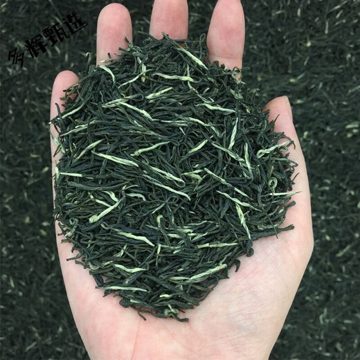 Wei Ting 23 New Tea Xinyang Maojian Green Tea Mingqian High Mountain Tea Young Buds Yunwu Tea Strong Fragrance Handmade Maojian Tea 500 grams is 1 Jin Jin is equal to 0.5 kilograms